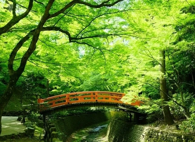 京都市北区紫野西藤ノ森1