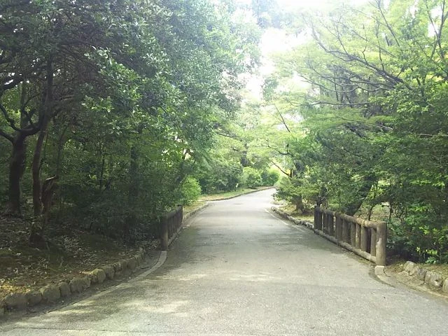 京都市北区紫野西藤ノ森1