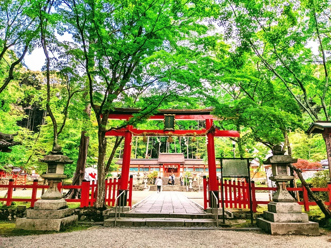 京都市北区紫野西藤ノ森1