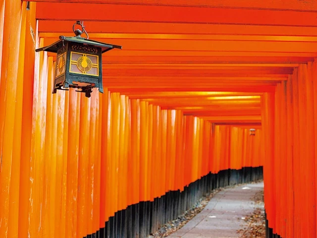京都市北区紫野西藤ノ森1