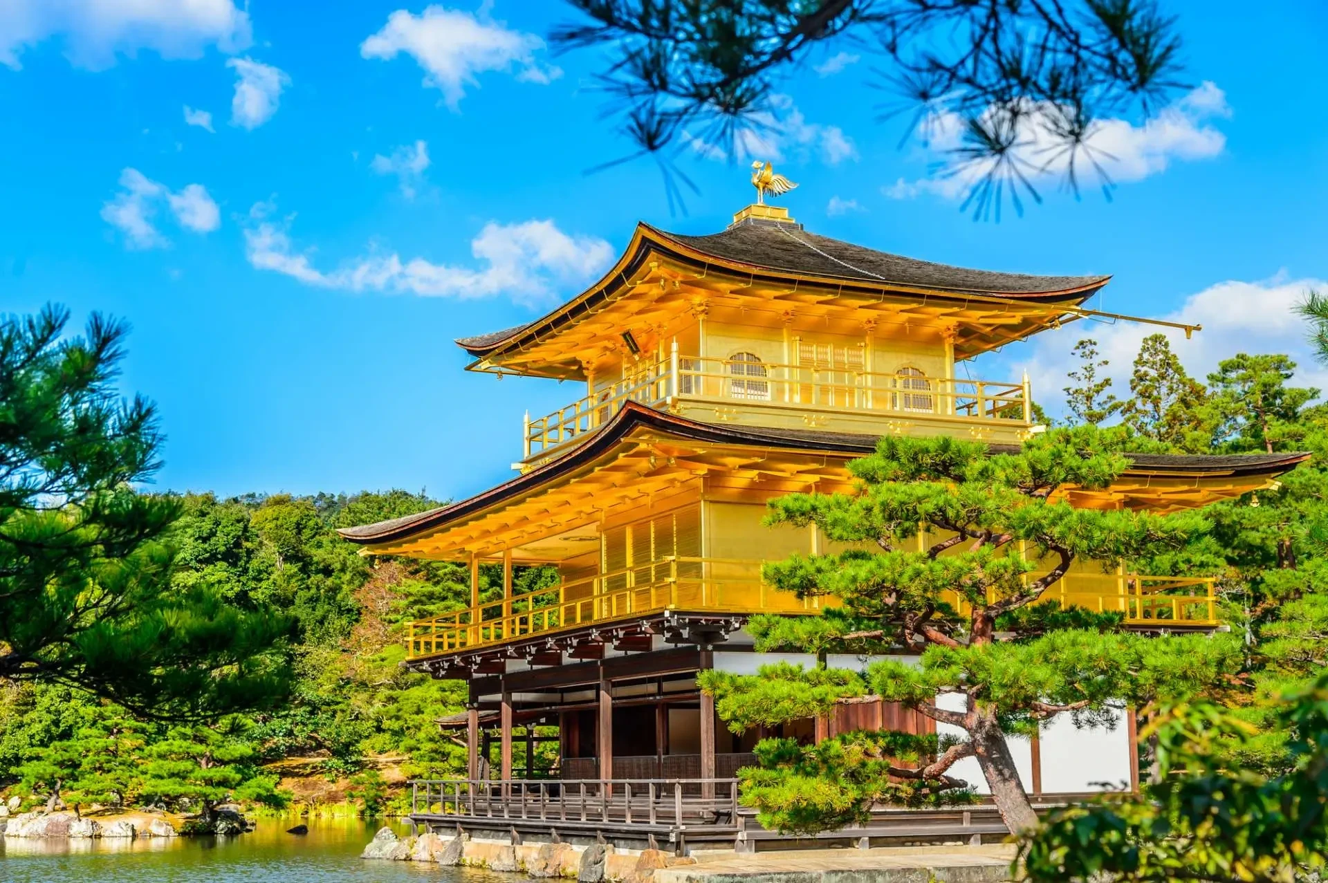 京都市北区紫野西藤ノ森1
