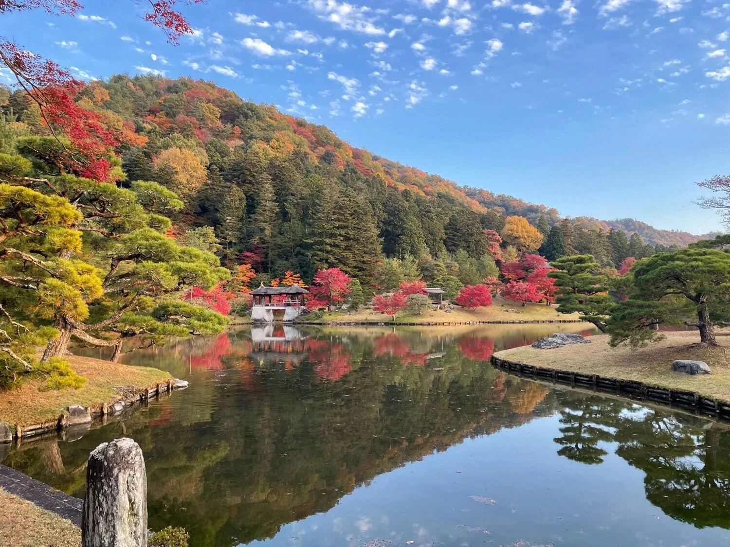 京都市北区紫野西藤ノ森1